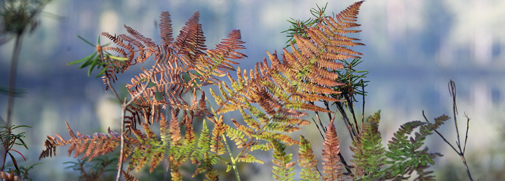 slide4